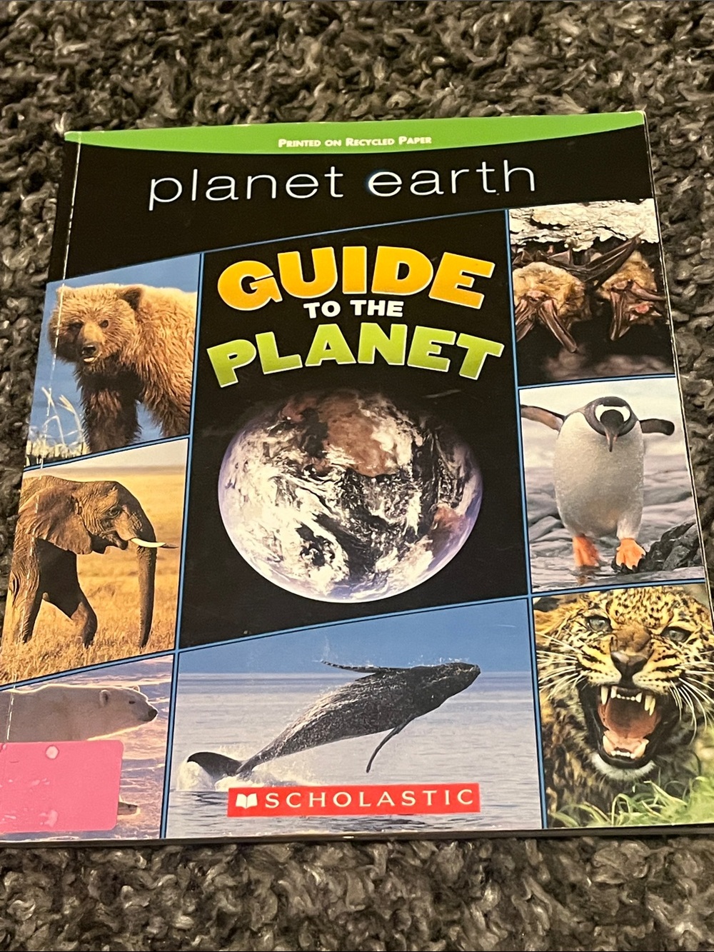 Scholastic Planet Earth Guide to the Planet - Black & Blue Cover